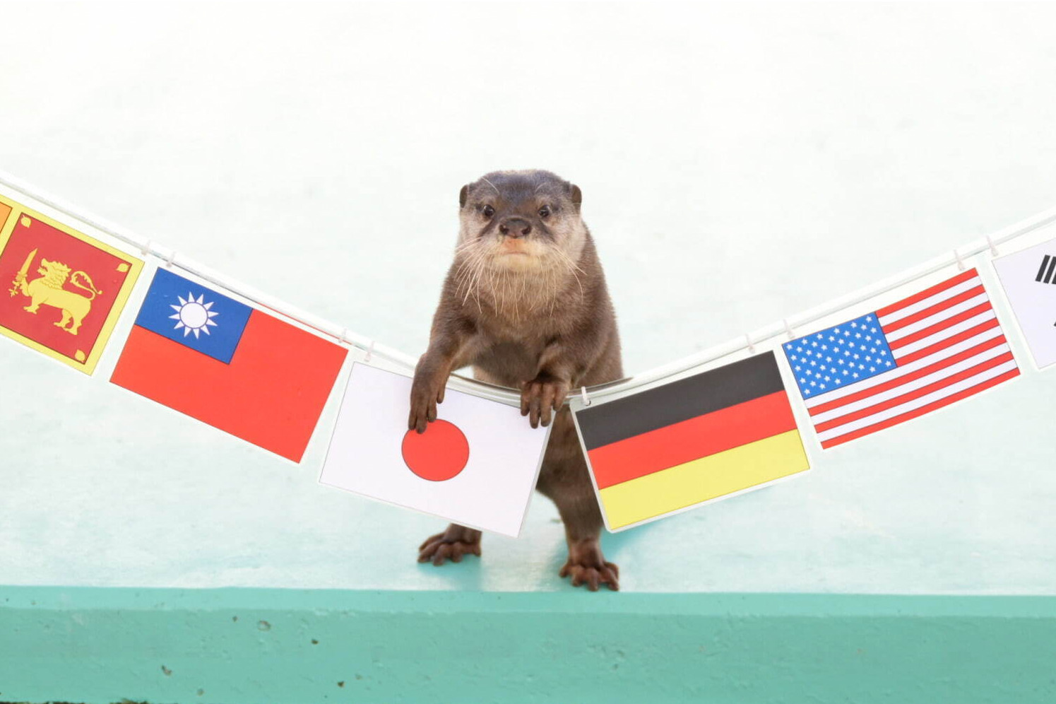 横浜・八景島シーパラダイス「秋の運動会」