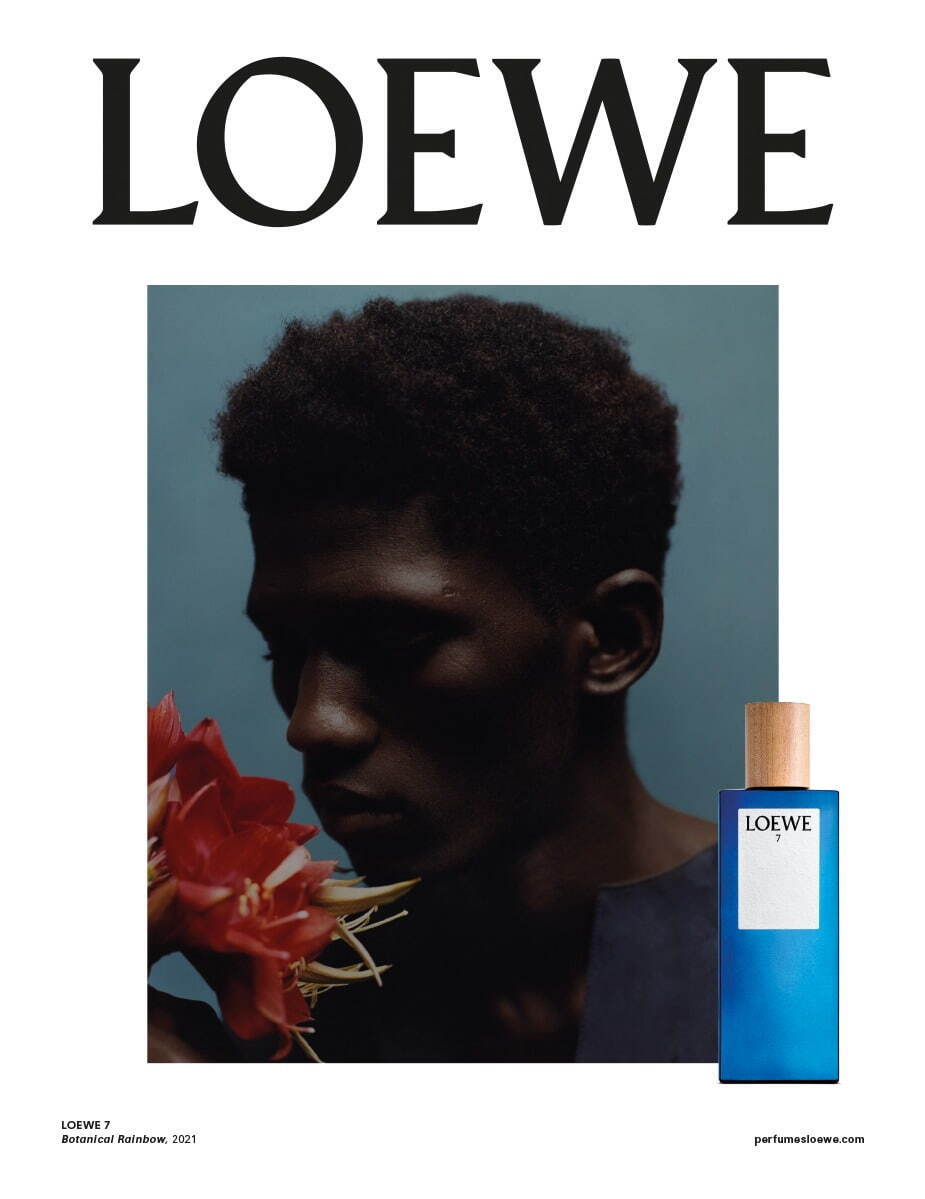 ロエベ パルファム(LOEWE Perfumes) ボタニカルレインボー｜写真11