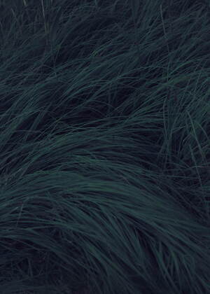 フミカ_ウチダ(FUMIKA_UCHIDA) 2021年冬ウィメンズコレクション  - 写真18