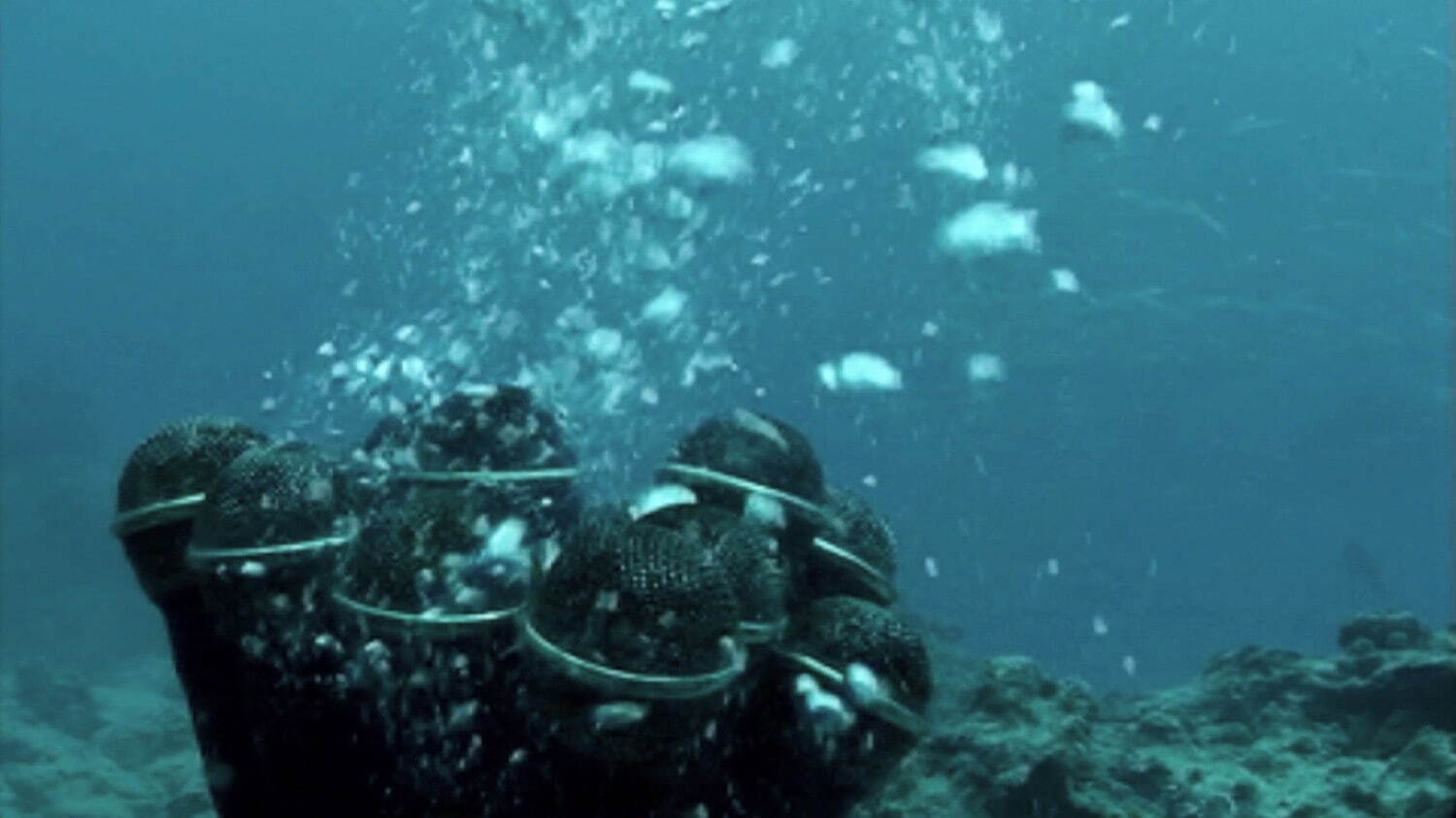 山城知佳子《沈む声、紅い息》2010年 ビデオ