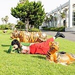 坂口健太郎, 清野菜名, あいみょん ハート 婚姻届に判を捺しただけですが｜写真3