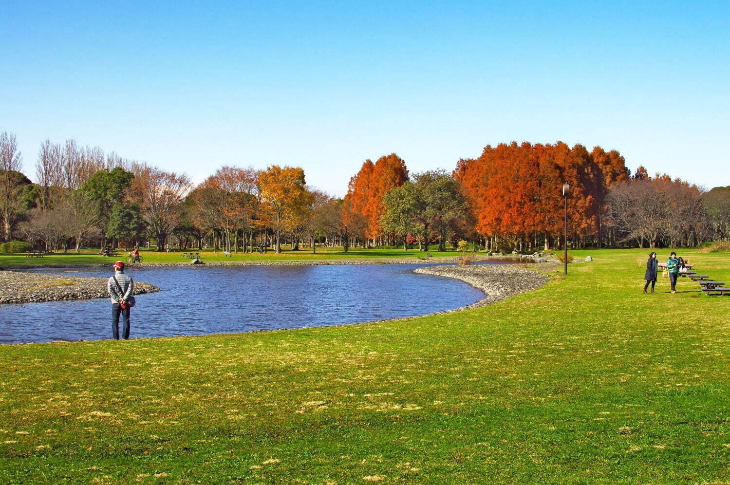 「東京都内の大型公園一覧」デートやピクニックにおすすめの人気＆穴場スポット、イベントフェス情報も｜写真8