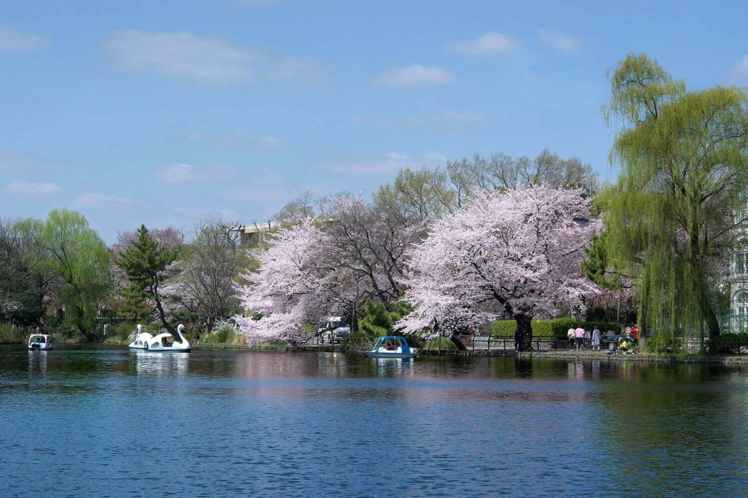 「東京都内の大型公園一覧」デートやピクニックにおすすめの人気＆穴場スポット、イベントフェス情報も｜写真6