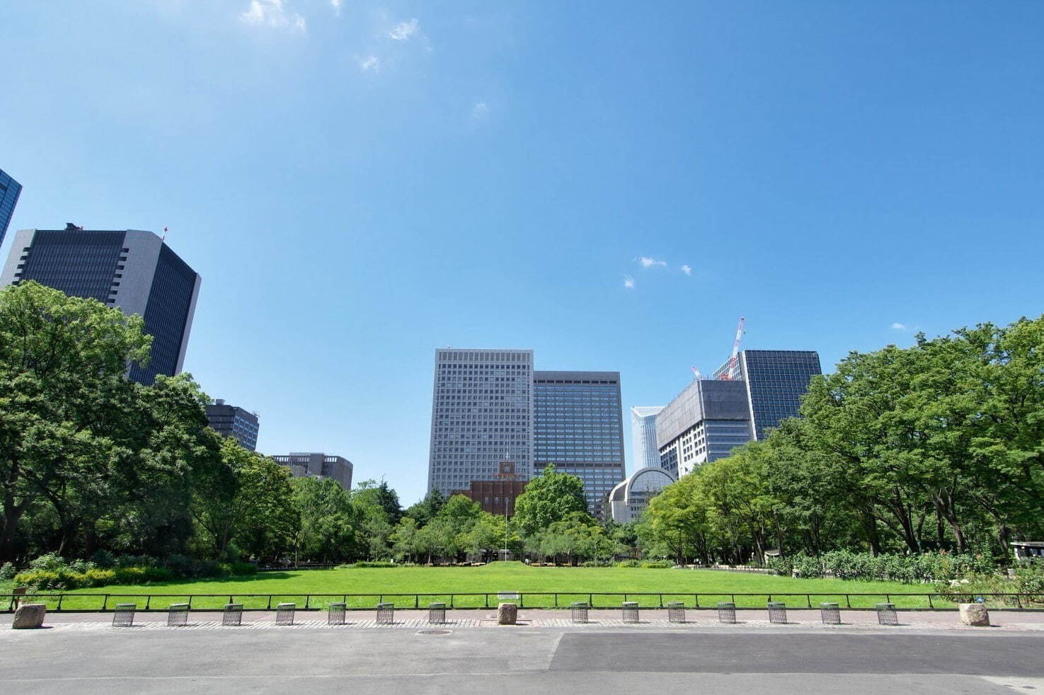 東京都内の大型公園一覧、デートやピクニックにおすすめな人気＆穴場公園を一挙紹介｜写真5