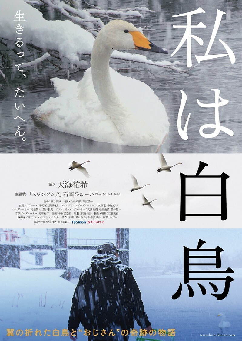 石崎ひゅーい スワンソング 私は白鳥｜写真2