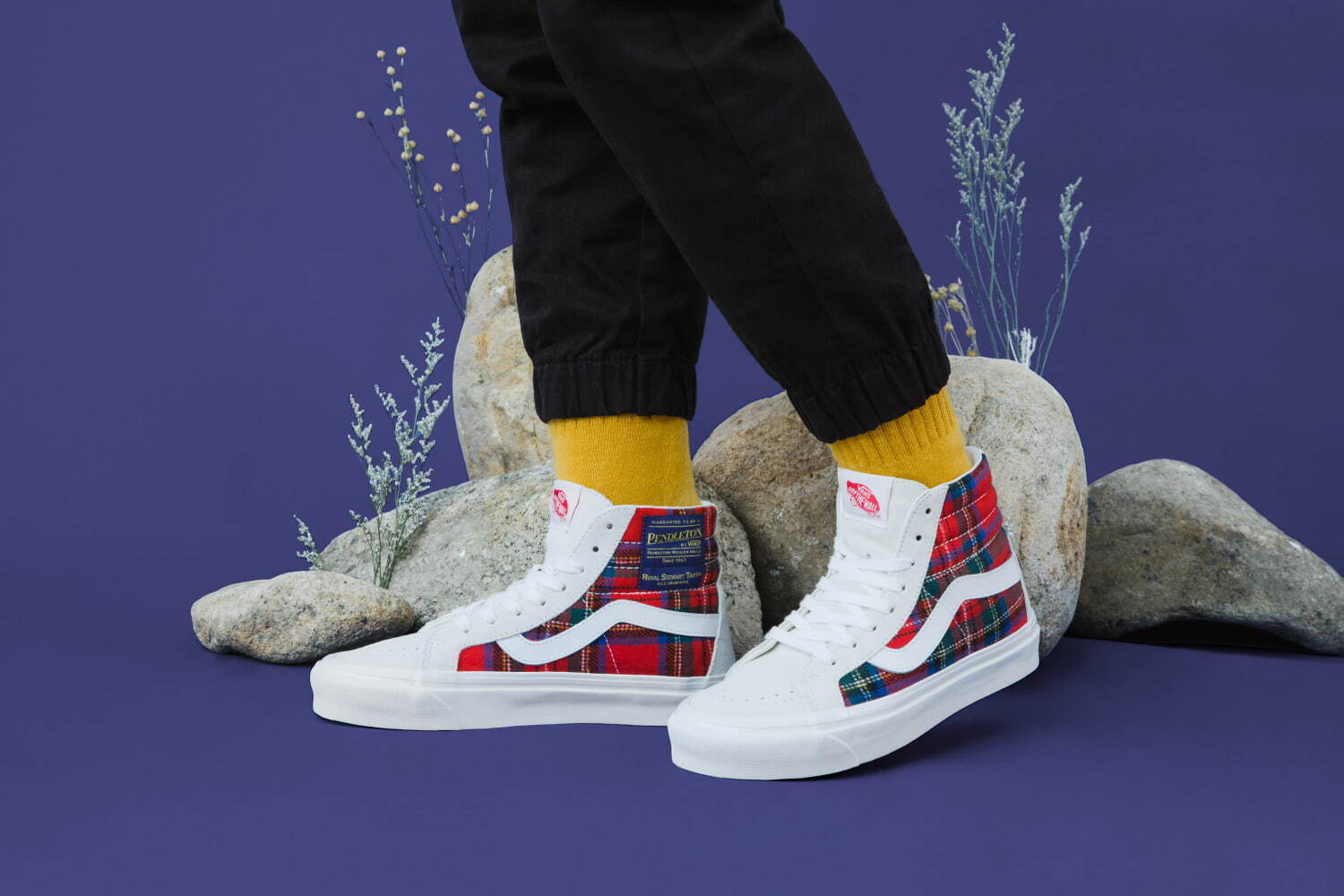 ヴァンズ(VANS), ペンドルトン(PENDLETON) オーセンティック Sk8-Hi｜写真15