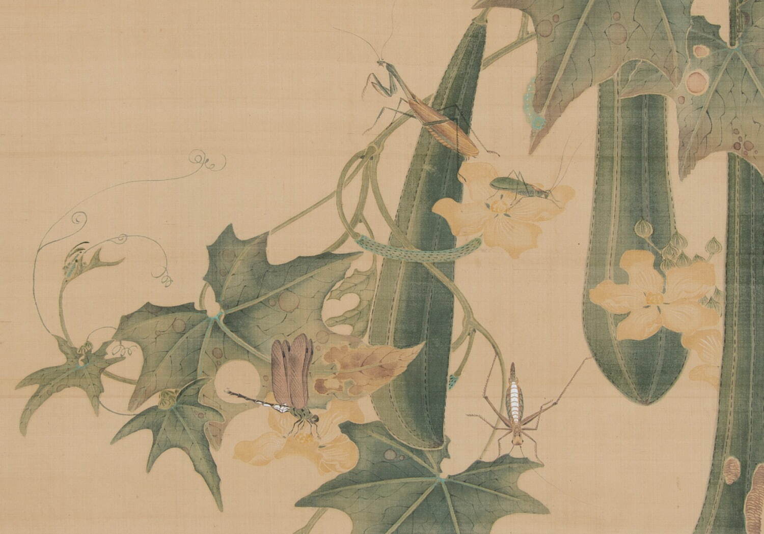 特別展「虫めづる日本の美」京都・細見美術館で、養老孟司が選ぶ“虫”の絵画・工芸品約60点｜写真3