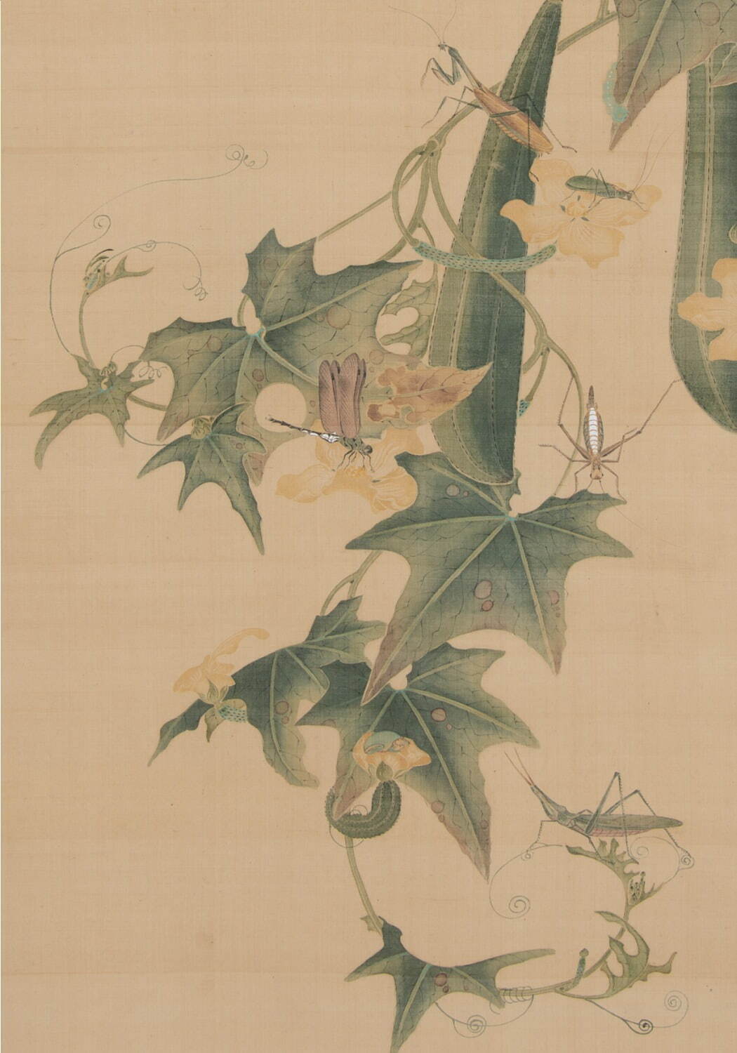 特別展「虫めづる日本の美」京都・細見美術館で、養老孟司が選ぶ“虫”の絵画・工芸品約60点｜写真2