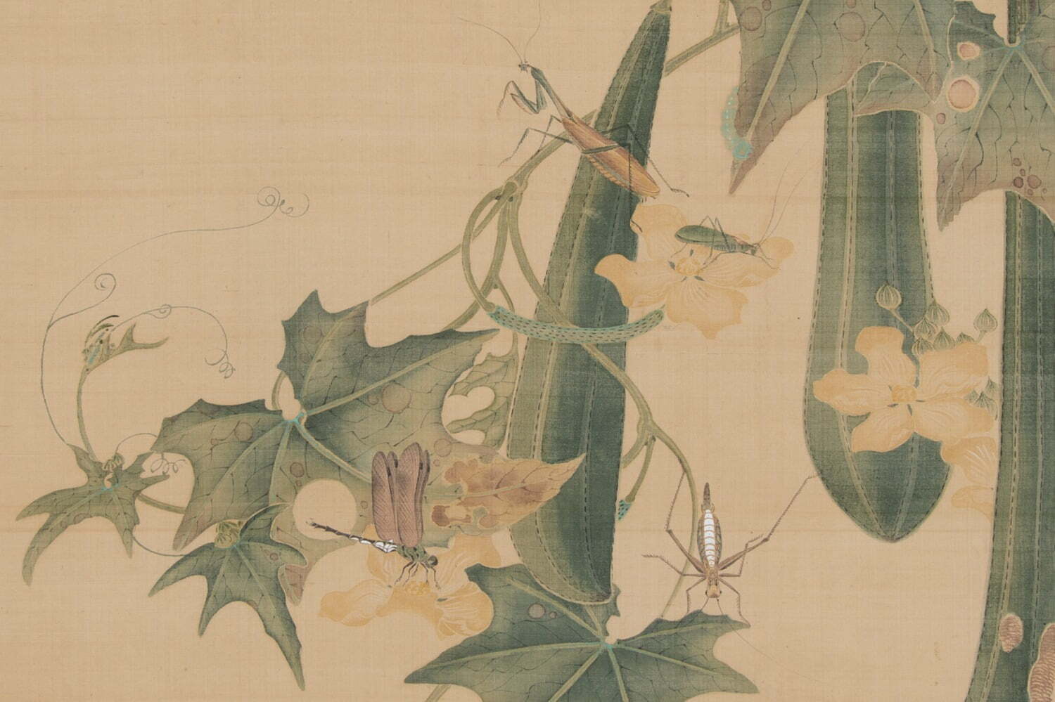 京都の美術館に関するまとめ ファッションプレス