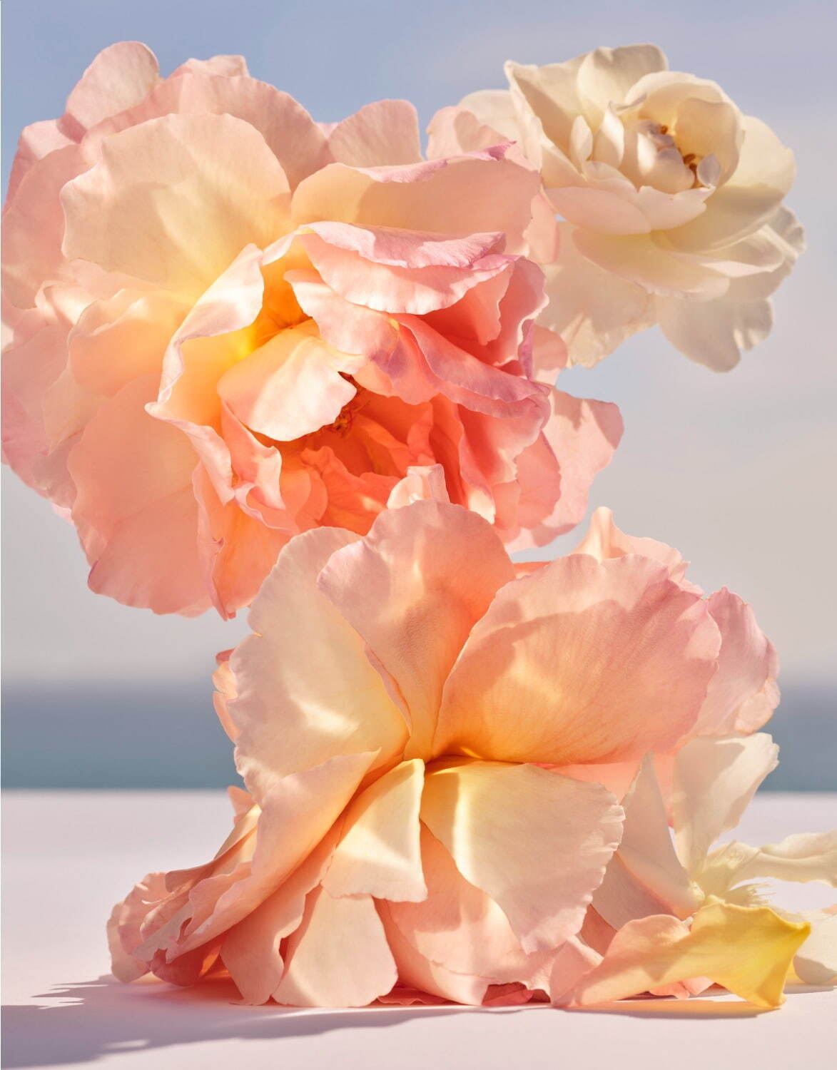 ルイ・ヴィトン“旅の真髄”に着想を得た新香水、フランク・ゲーリーとコラボした“花の彫刻”ボトル｜写真8