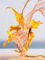 ルイ・ヴィトン“旅の真髄”に着想を得た新香水、フランク・ゲーリーとコラボした“花の彫刻”ボトル｜写真20