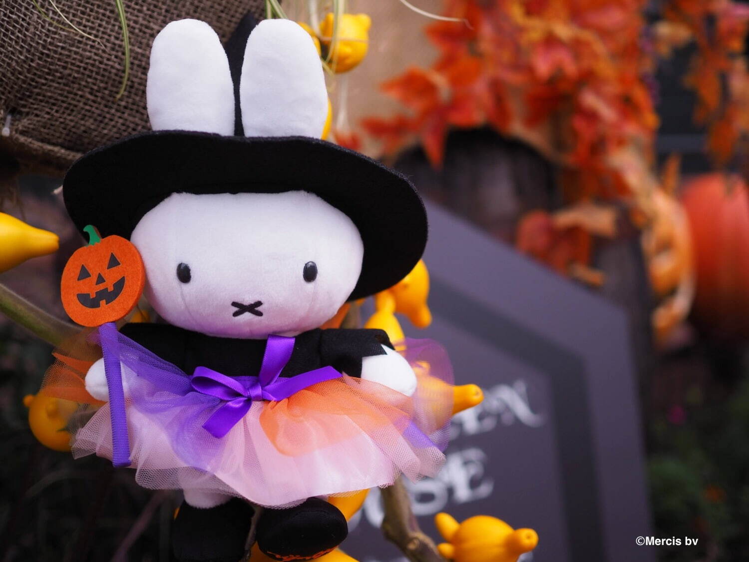 長崎・ハウステンボスのハロウィーンイベント、かぼちゃランタン3,000個のナイトウォークなど｜写真15