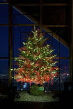 パーク ハイアット 東京2021年クリスマスケーキ、あまおう苺の“深紅”ブッシュ ド ノエルなど｜写真11