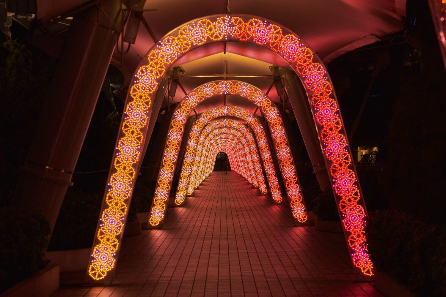 東京ドームシティのイルミネーション2021、23万個のLEDライトが輝く巨大ツリーなど｜写真2