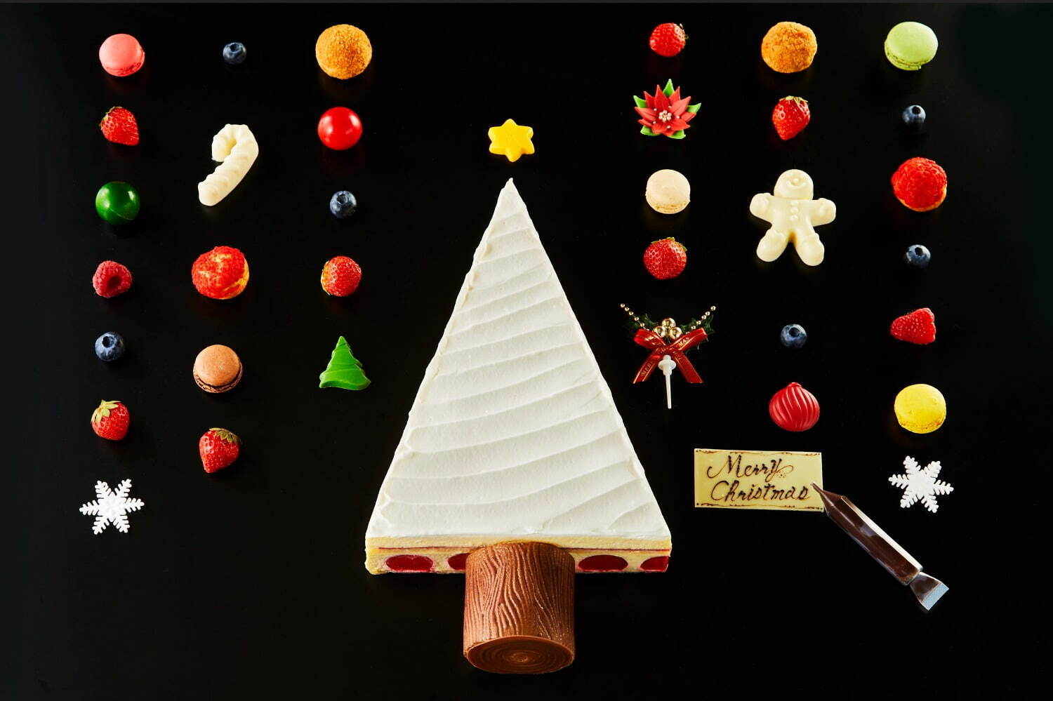 DIYクリスマスツリーケーキ(約32×18cm) 16,200円