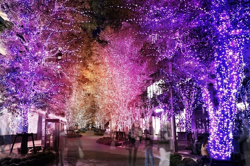 日比谷“魔法のようなグラデカラー”イルミネーション2021、東京ミッドタウン日比谷にクリスマスツリー｜写真8