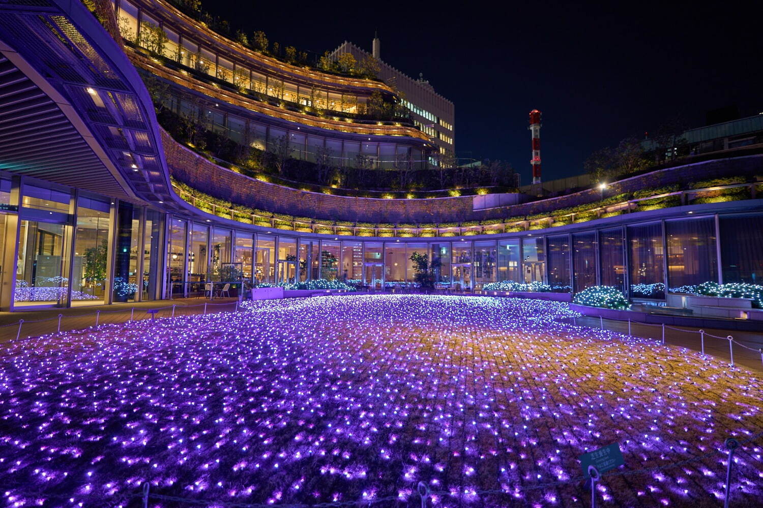 日比谷“魔法のようなグラデカラー”イルミネーション2021、東京ミッドタウン日比谷にクリスマスツリー｜写真18