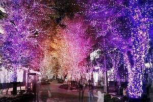 日比谷“魔法のようなグラデカラー”イルミネーション2021、東京ミッドタウン日比谷にクリスマスツリー｜写真8