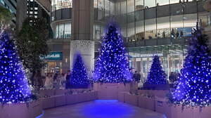 日比谷“魔法のようなグラデカラー”イルミネーション2021、東京ミッドタウン日比谷にクリスマスツリー｜写真11