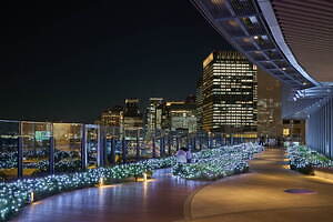 日比谷“魔法のようなグラデカラー”イルミネーション2021、東京ミッドタウン日比谷にクリスマスツリー｜写真17