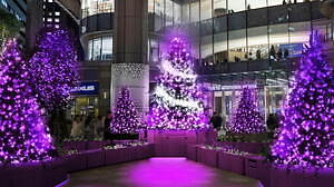 日比谷“魔法のようなグラデカラー”イルミネーション2021、東京ミッドタウン日比谷にクリスマスツリー｜写真12