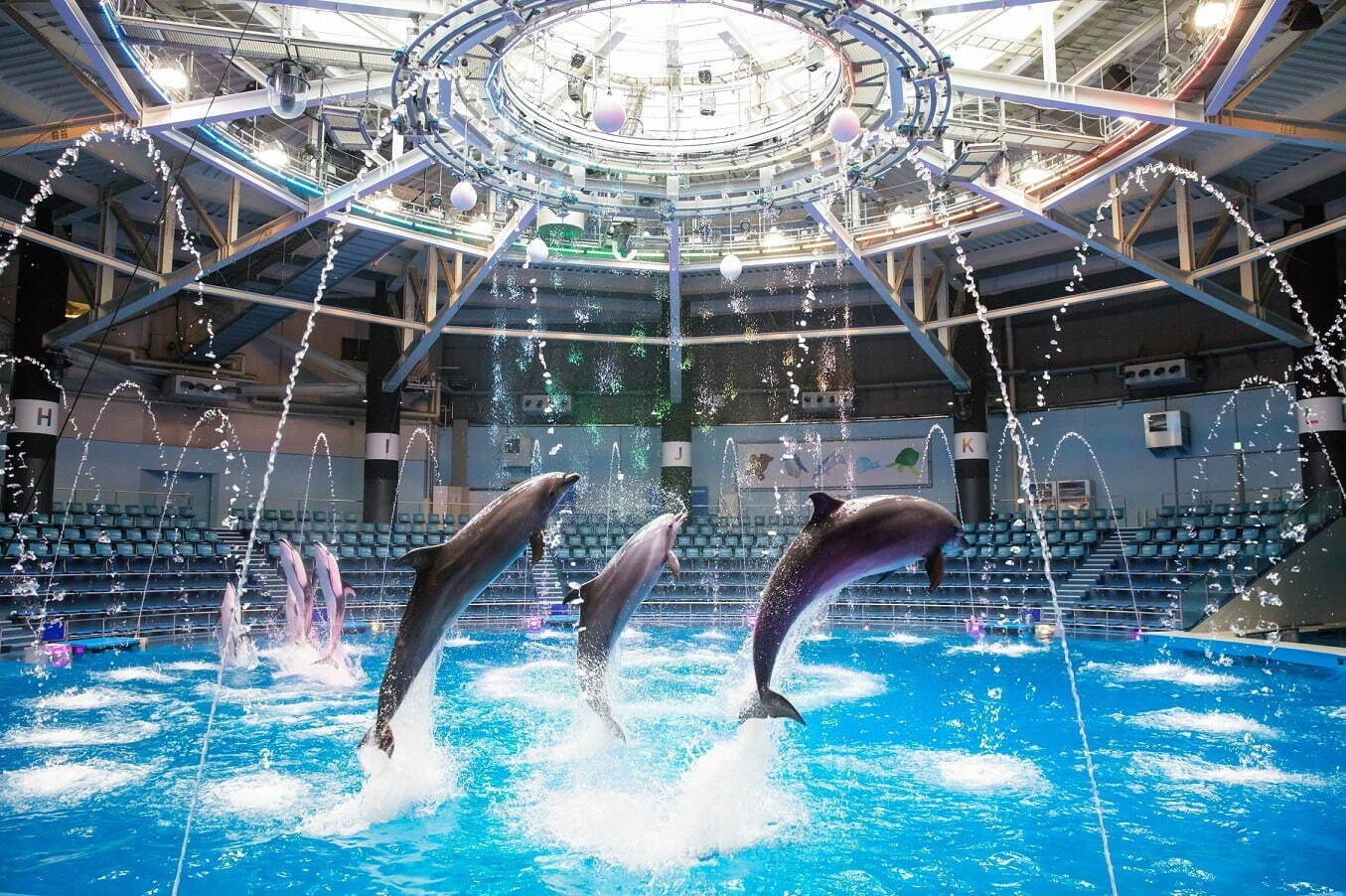 閉館後の水族館で「品川花火まつり」イルカと楽しむ“盆踊り”や縁日がマクセル アクアパーク品川に｜写真3