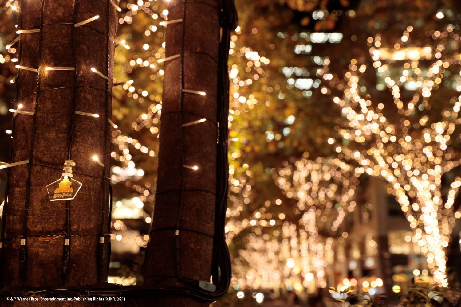 「ハリー・ポッター」クリスマスツリーが丸の内に、“映画の名シーン”を再現したライティングショー｜写真8