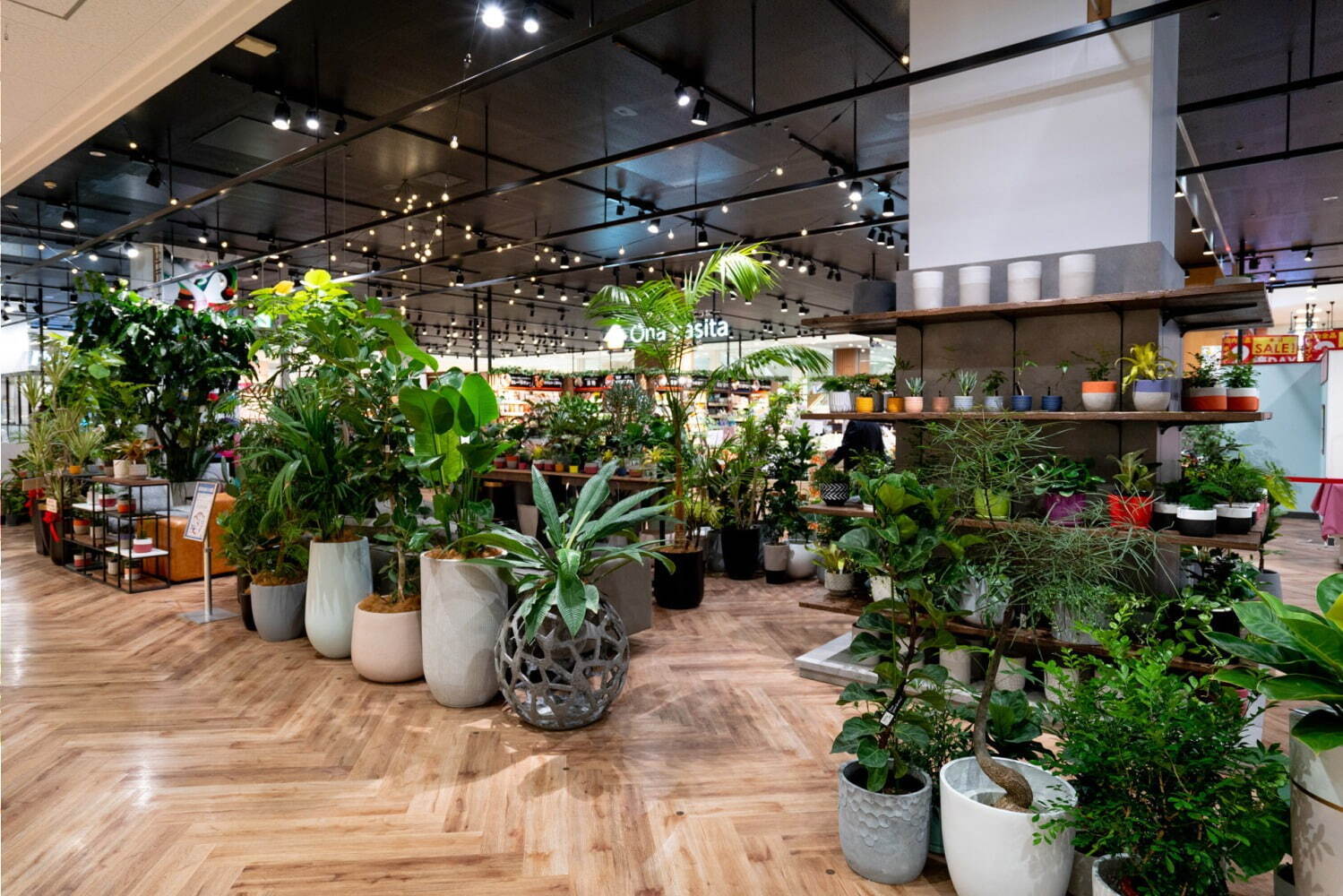 サラダ｜バロックジャパンリミテッド“緑＆食”の新業態「シェルター グリーン/デリ」アリオ川口に1号店