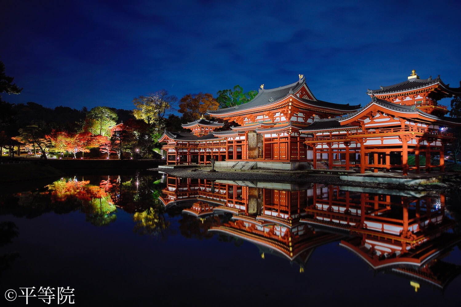 秋イベント「ひかりの京都」紅葉ライトアップ＆竹灯籠など、夕暮れ時～夜間に社寺を特別拝観｜写真4