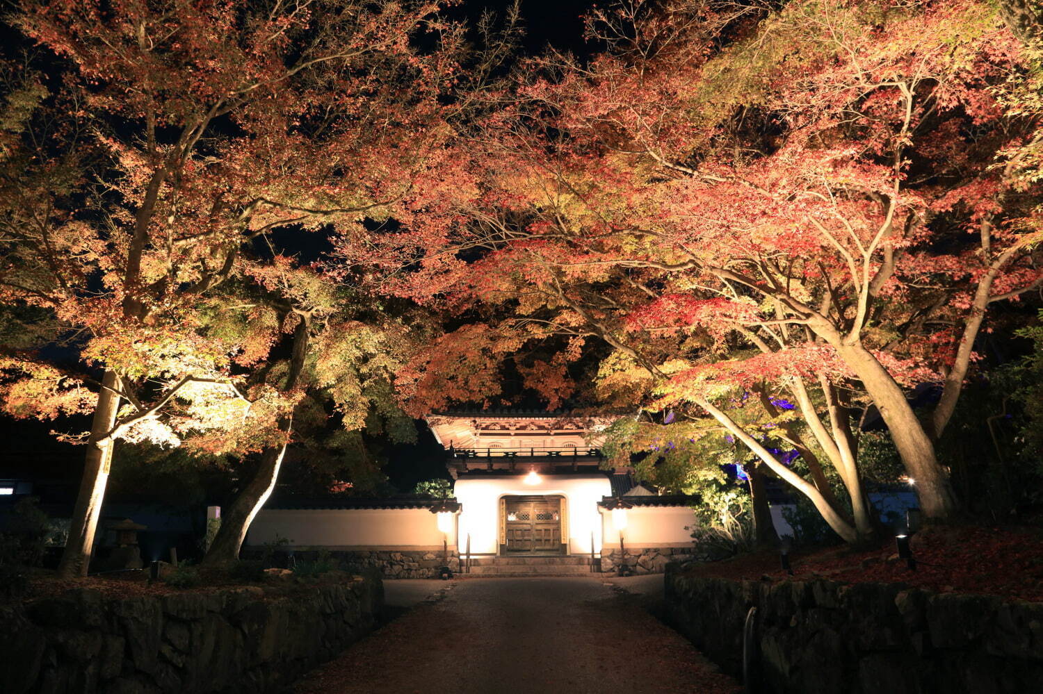 秋イベント「ひかりの京都」紅葉ライトアップ＆竹灯籠など、夕暮れ時～夜間に社寺を特別拝観｜写真2