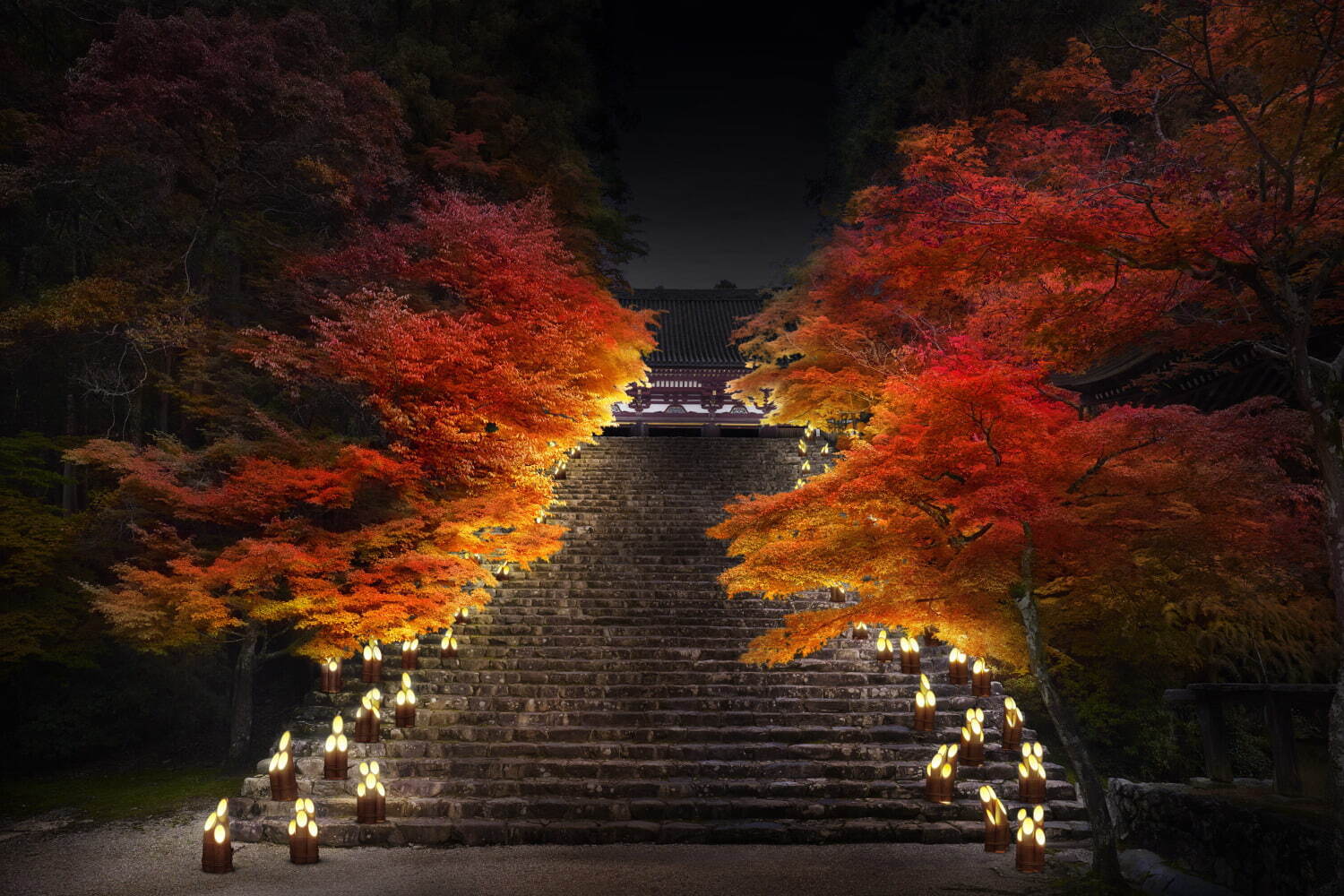 秋イベント ひかりの京都 紅葉ライトアップ 竹灯籠など 夕暮れ時 夜間に社寺を特別拝観 ファッションプレス