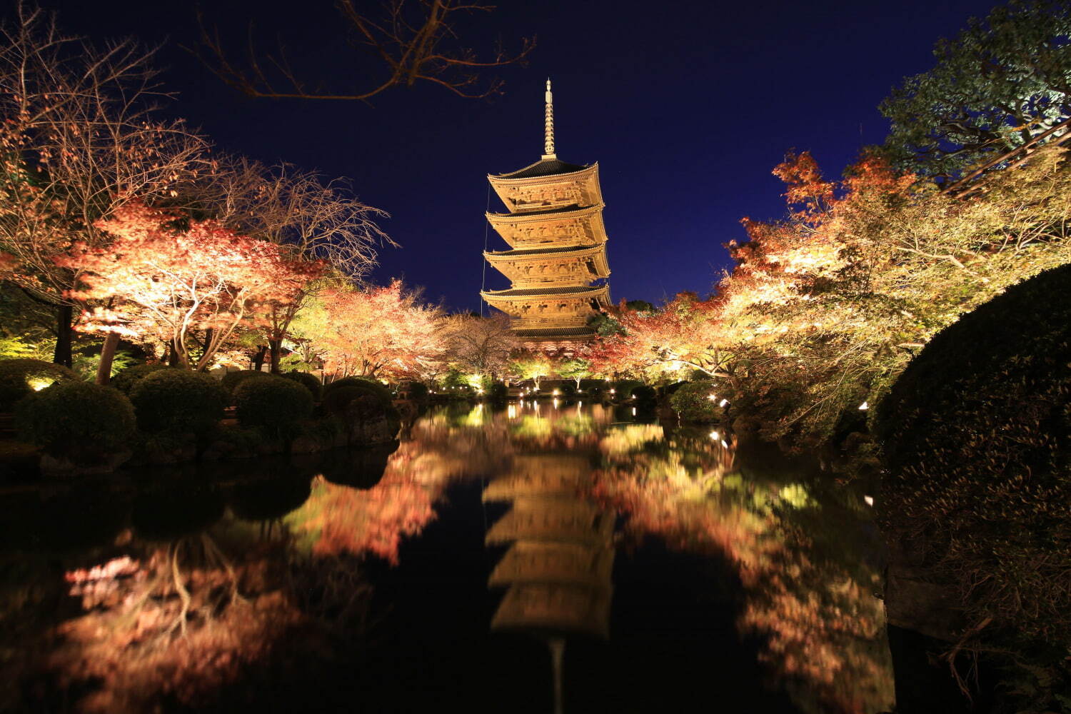 秋イベント ひかりの京都 紅葉ライトアップ 竹灯籠など 夕暮れ時 夜間に社寺を特別拝観 ファッションプレス