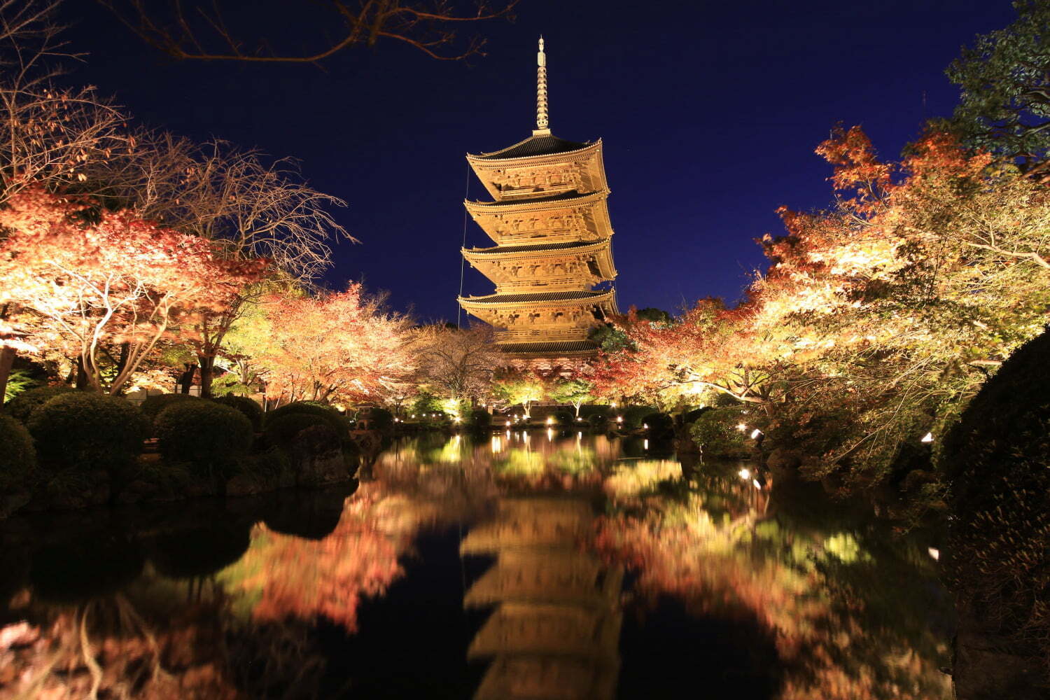 秋イベント ひかりの京都 紅葉ライトアップ 竹灯籠など 夕暮れ時 夜間に社寺を特別拝観 ファッションプレス