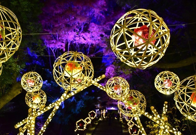 はなびより「HANAあかり」