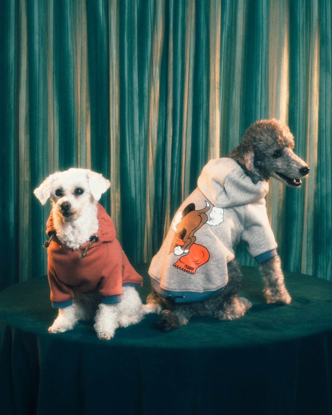 パメオポーズPELIの“モードな”犬ファッション「ペギオン」新作、岩田屋本店に限定ショップも｜写真5