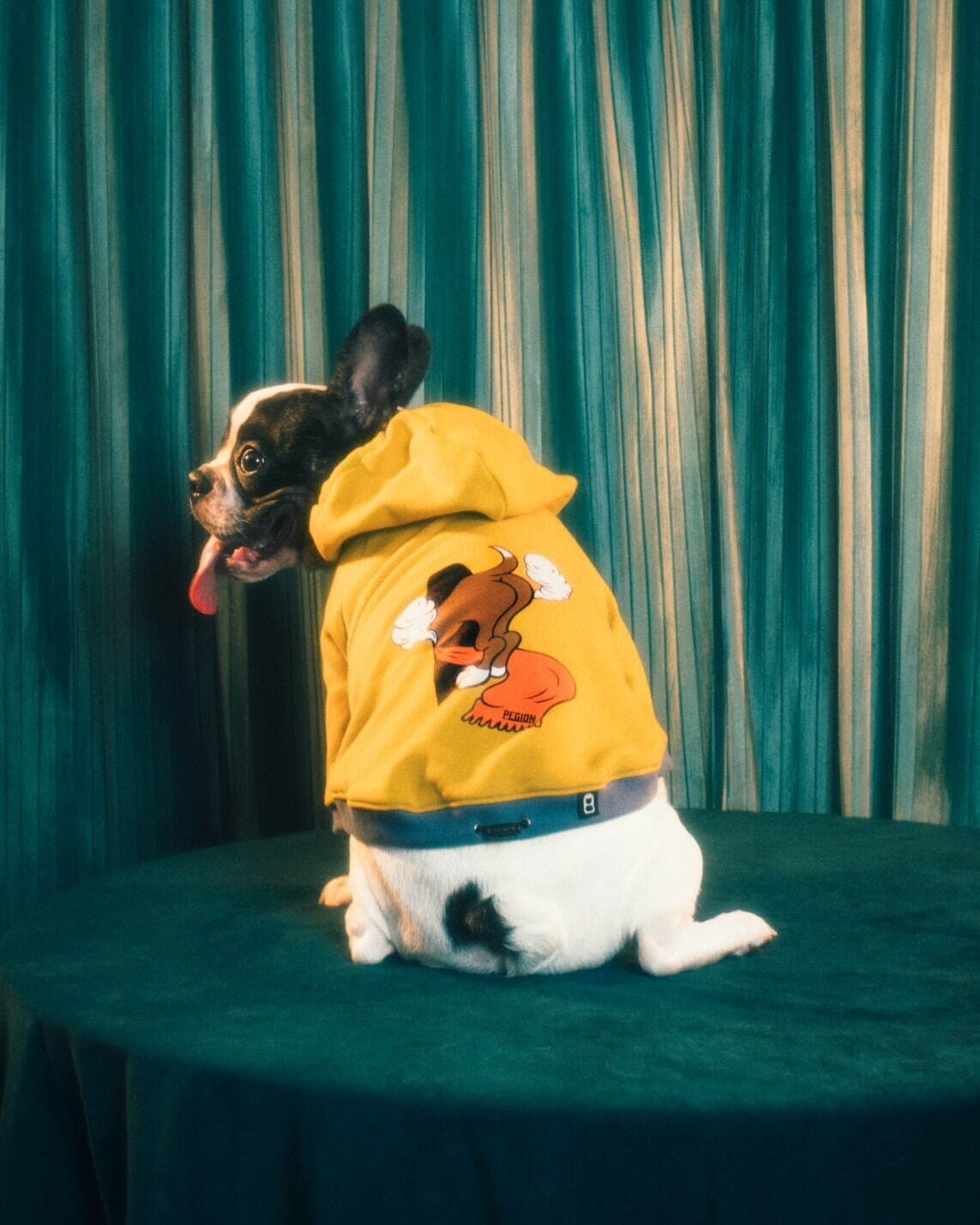 パメオポーズPELIの“モードな”犬ファッション「ペギオン」新作、岩田屋本店に限定ショップも｜写真6