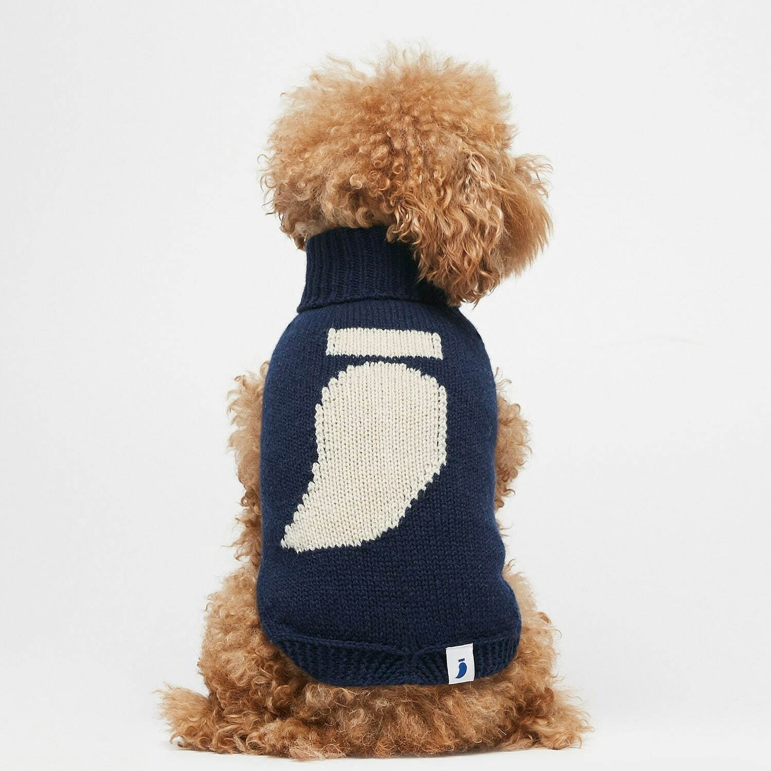 パメオポーズPELIの“モードな”犬ファッション「ペギオン」新作、岩田屋本店に限定ショップも｜写真35