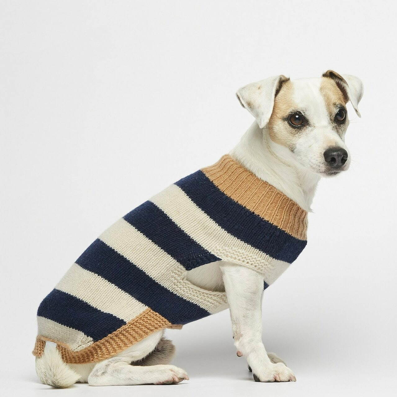 パメオポーズPELIの“モードな”犬ファッション「ペギオン」新作、岩田屋本店に限定ショップも｜写真37