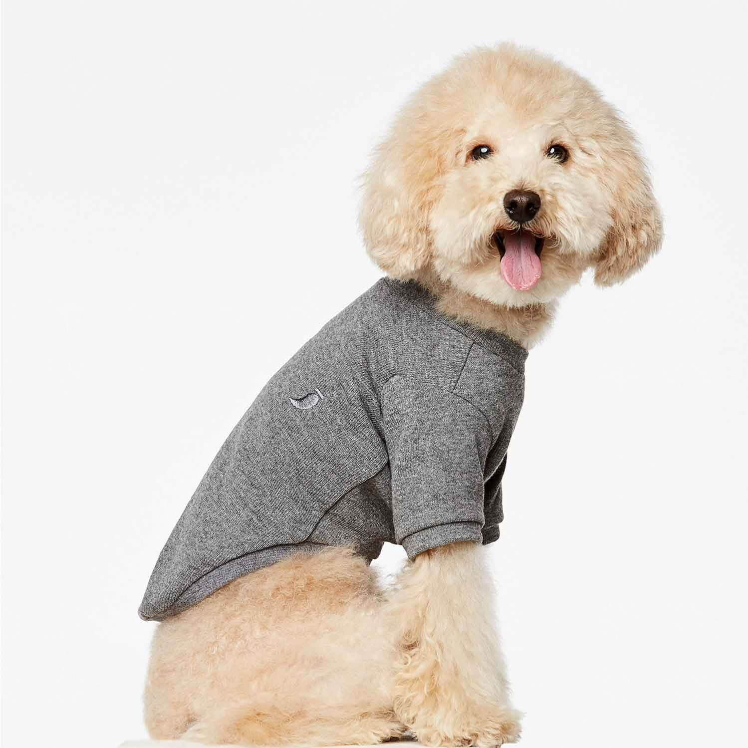 パメオポーズPELIの“モードな”犬ファッション「ペギオン」新作、岩田屋本店に限定ショップも｜写真29