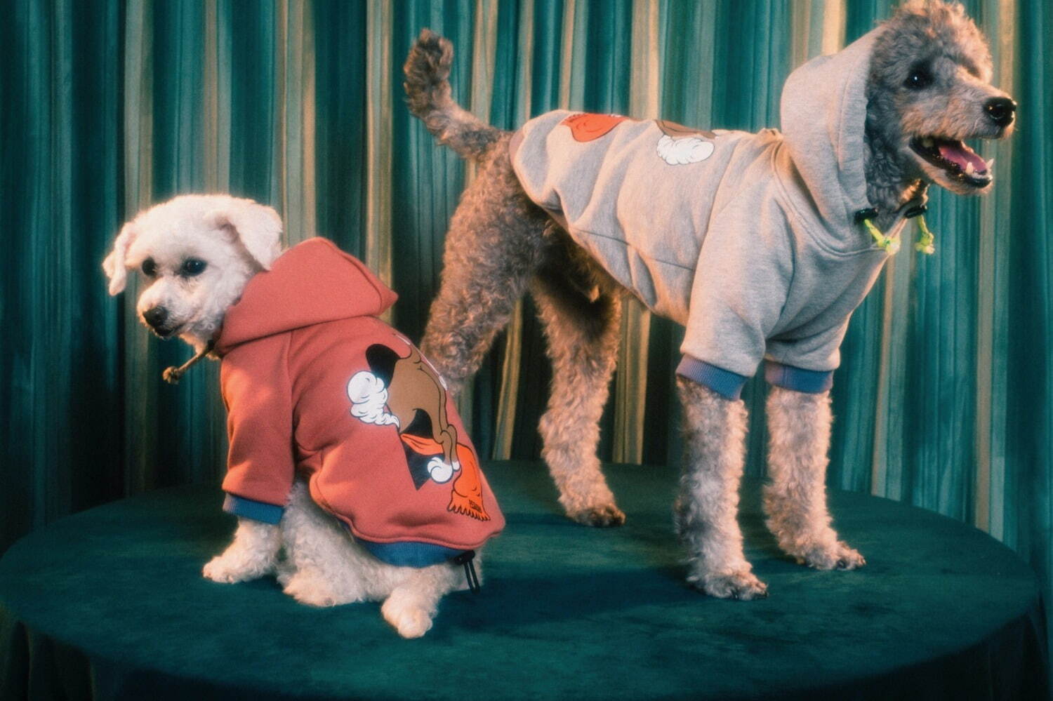 パメオポーズPELIの“モードな”犬ファッション「ペギオン」新作、岩田屋本店に限定ショップも｜写真13