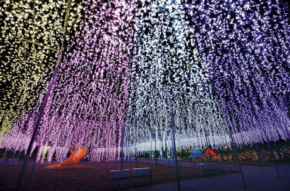 栃木・あしかがフラワーパーク - “花と光”のイルミネーションイベント