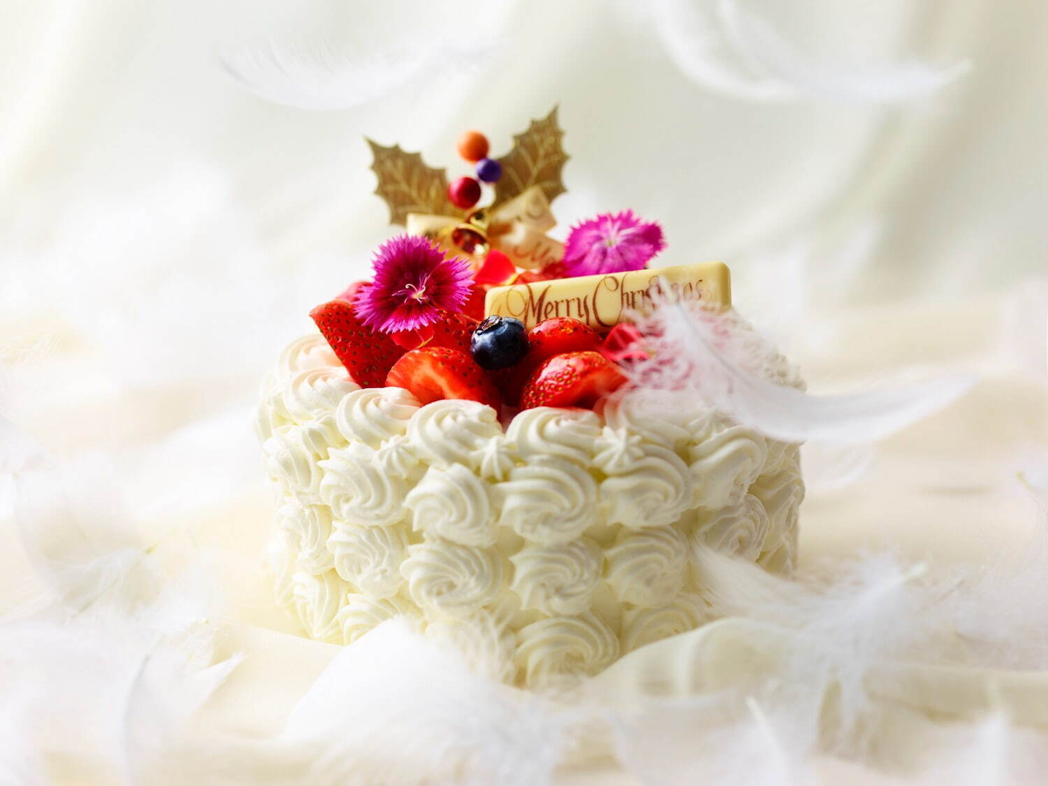 アートホテル大阪ベイタワー2021年クリスマスケーキ、“禁断の園”のチョコ＆ベリーのケーキなど｜写真4