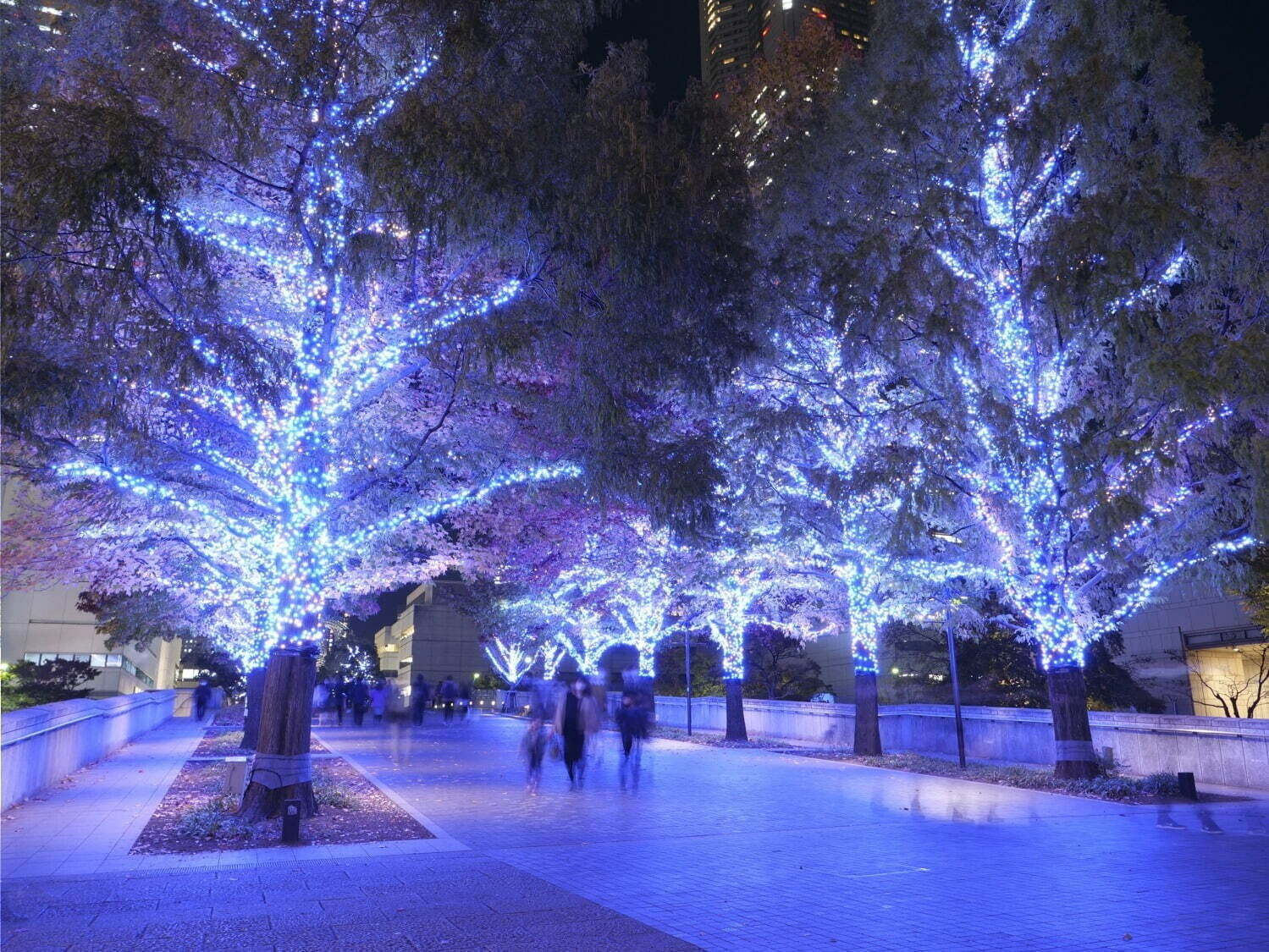 東京都内＆関東のイルミネーション2021、クリスマスや冬デートにおすすめ遊園地や有名スポットを特集｜写真22