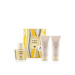 エミリオ・プッチ × アクア ディ パルマ21年クリスマスコフレ、香りを楽しむアドベント カレンダー｜写真1