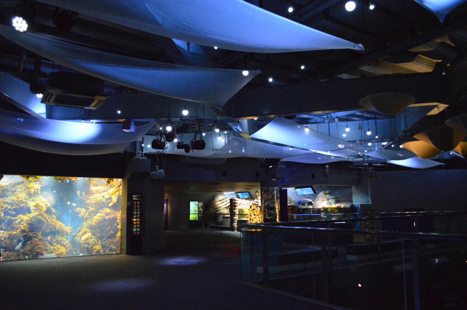 新江ノ島水族館「えのすいクリスマス」“クラゲのスノードーム”や“光る生物”を展示｜写真2