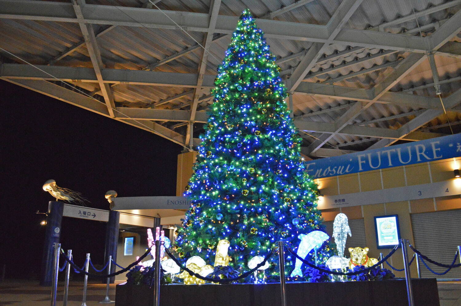 新江ノ島水族館のイルミネーション