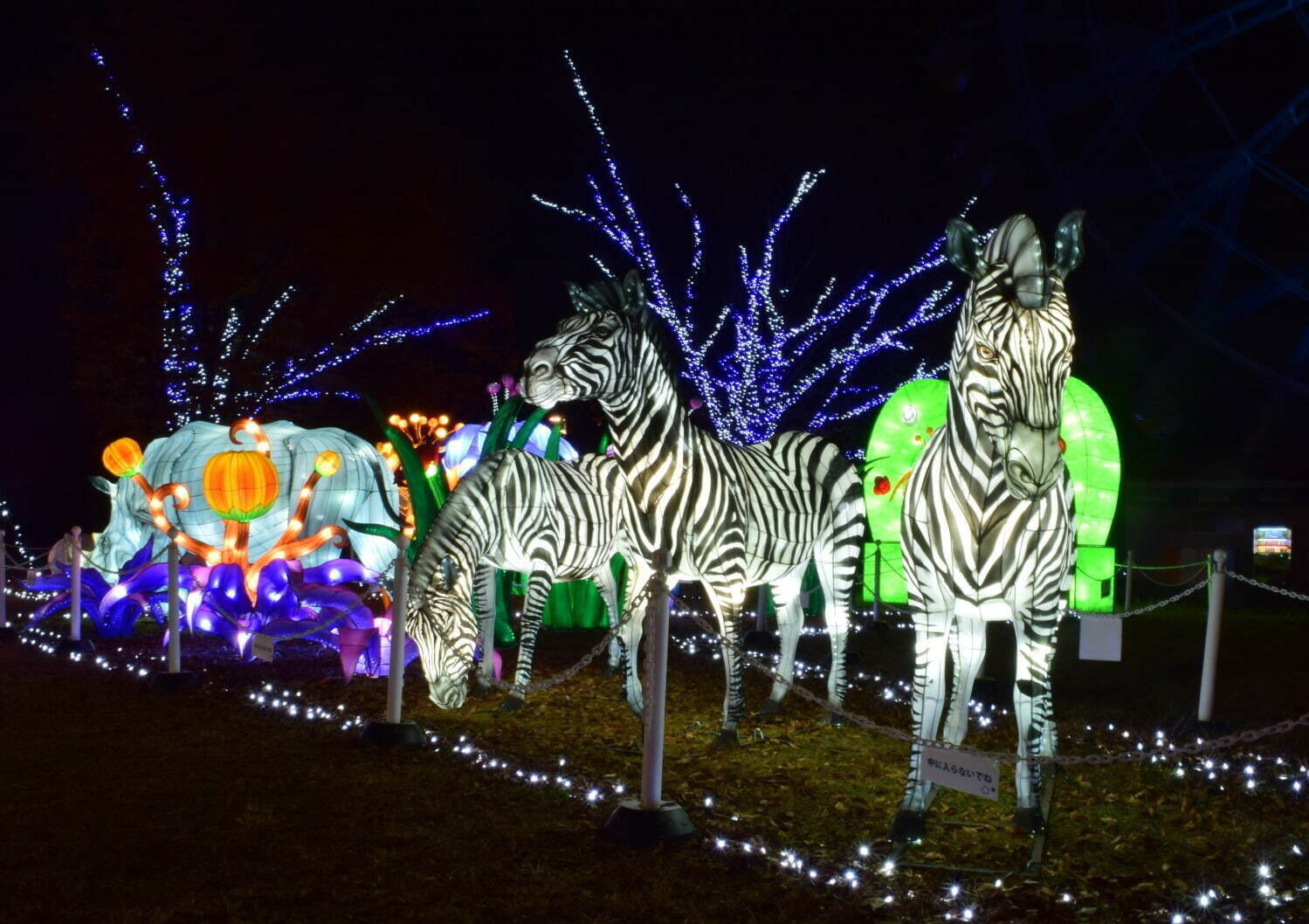 ＜全国イルミネーション2021年冬＞クリスマスデートにおすすめ！東京・大阪のおでかけナイトスポット｜写真30