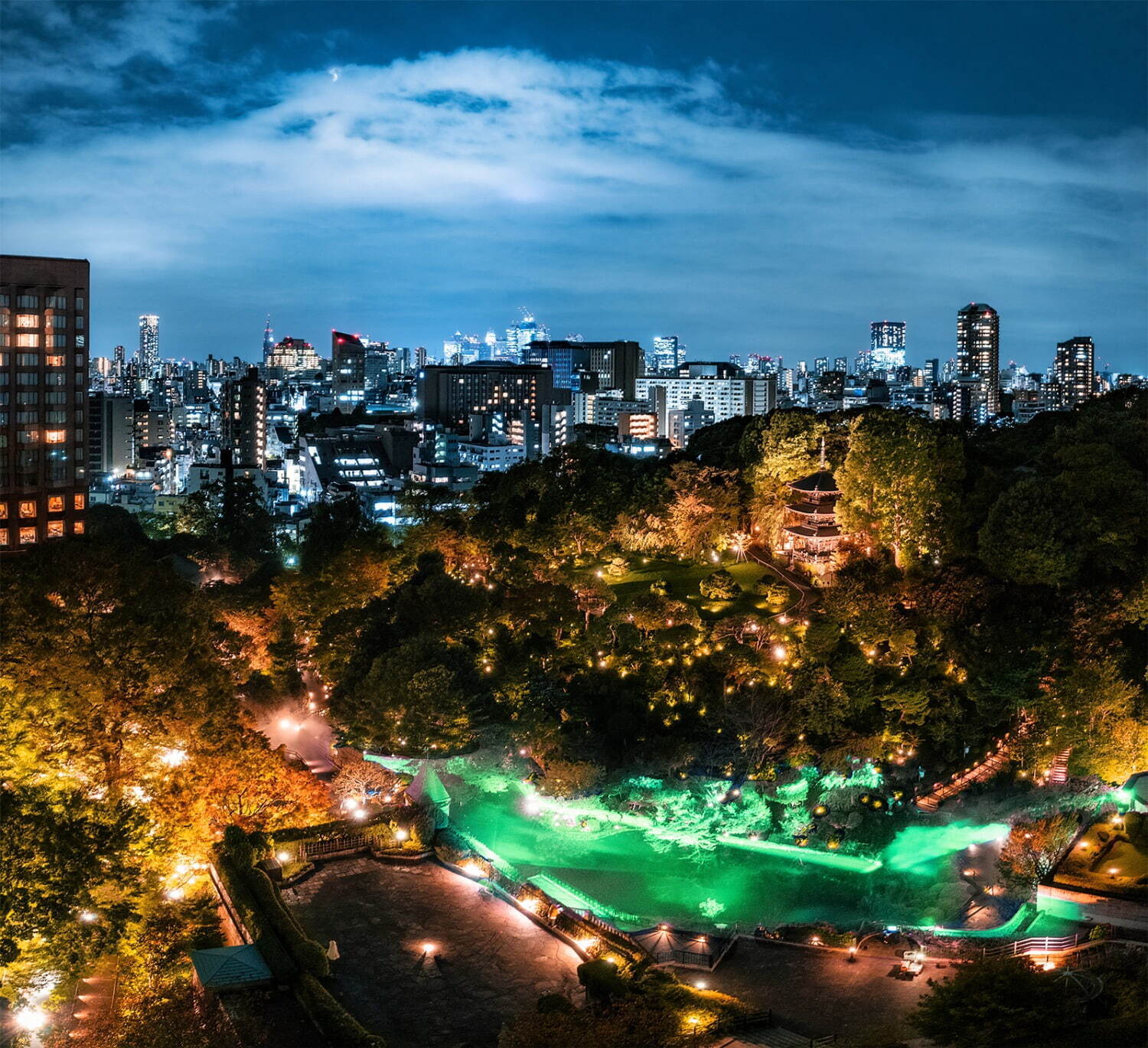 ホテル椿山荘東京「森のオーロラ」冬の“光の絶景”を庭園で、オーロラ独り占めプランやハイティーも｜写真4