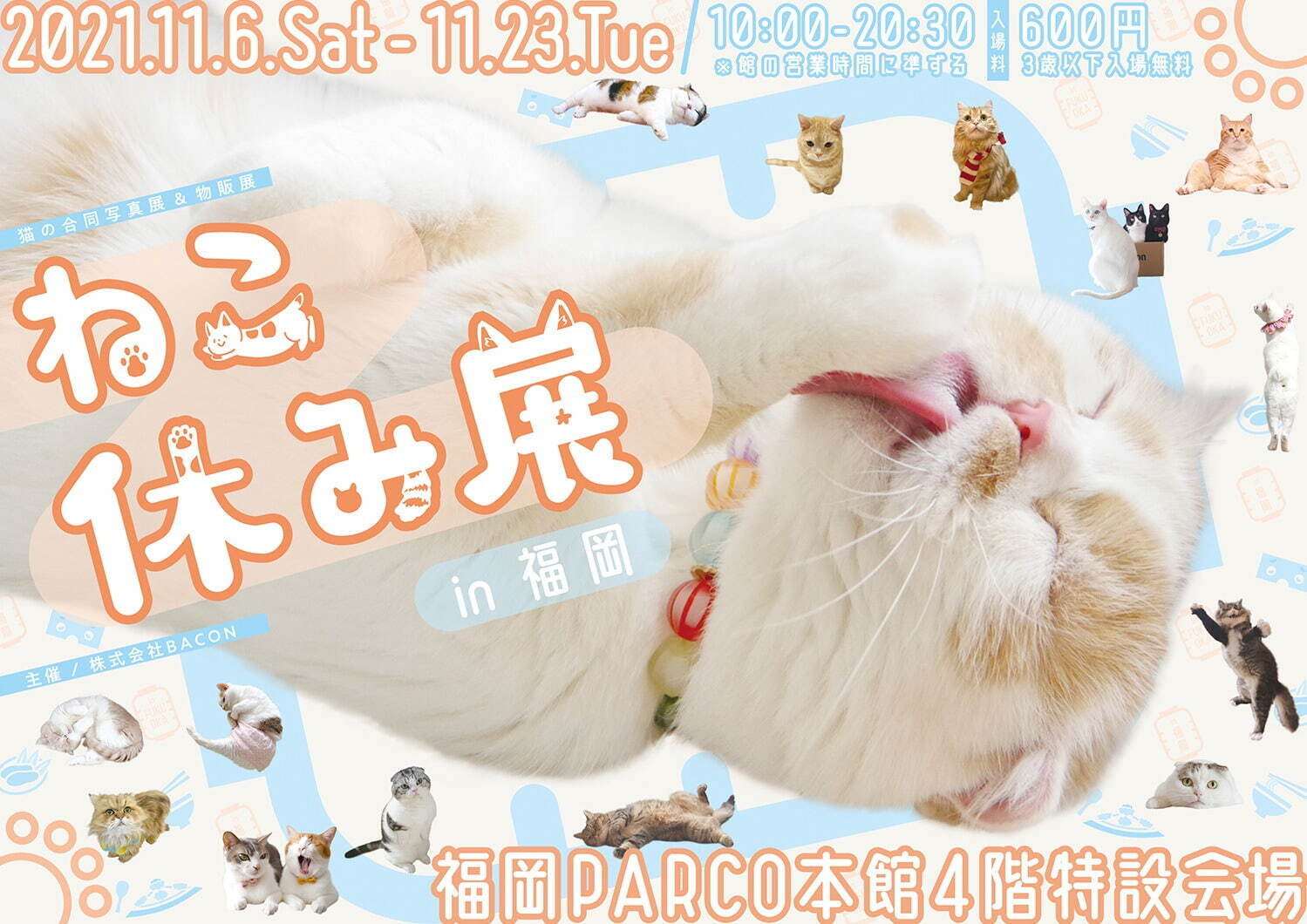猫の合同写真展「ねこ休み展」福岡で約1年ぶり開催、癒しの猫写真など200点以上＆猫グッズも｜写真20