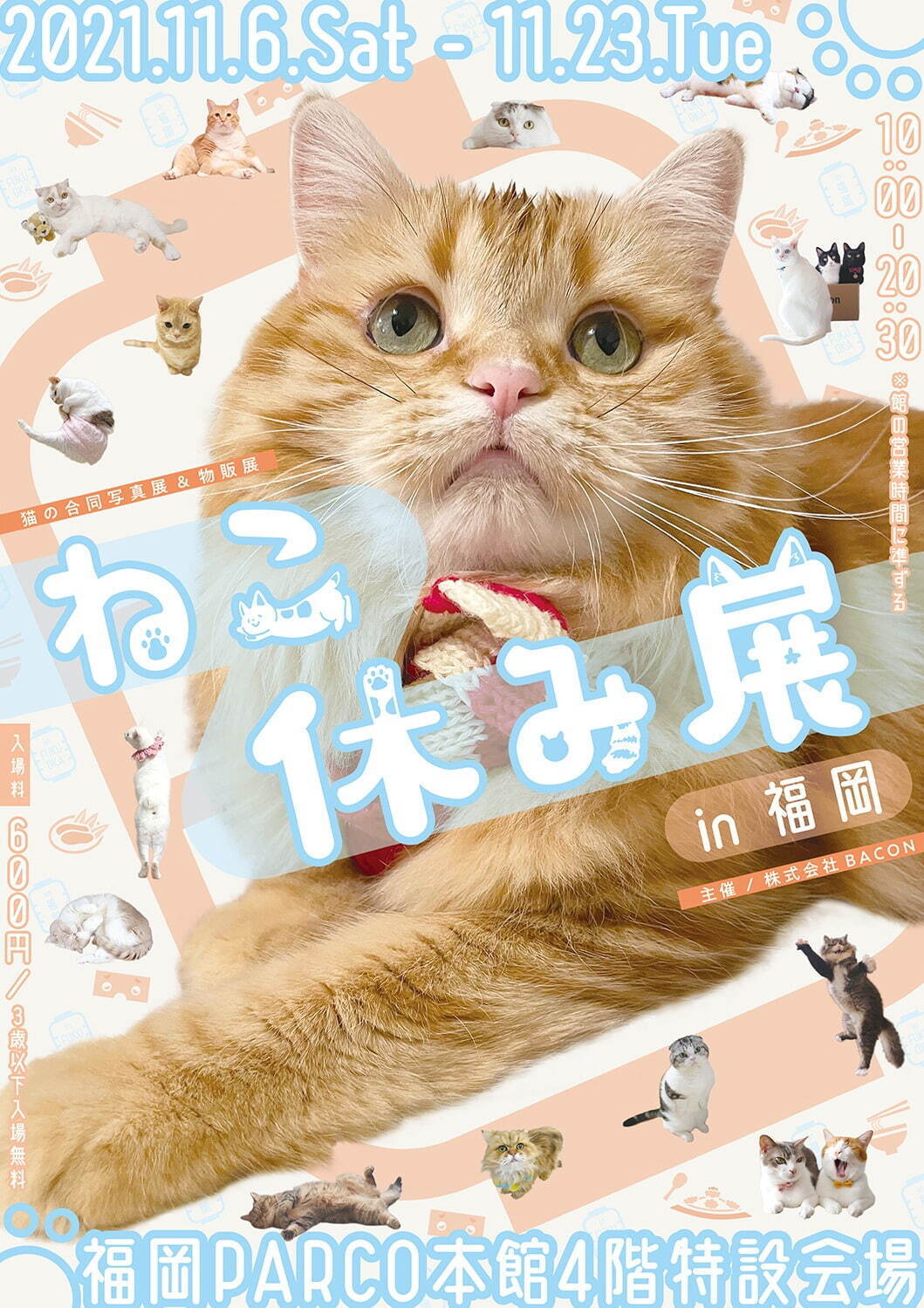 猫の合同写真展「ねこ休み展」福岡で約1年ぶり開催、癒しの猫写真など200点以上＆猫グッズも｜写真19
